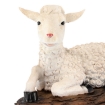 Chomik Фигура Овцы 17 x 40 x 26 см (106,68 см) полирезин, LIG2955 - Home Club, изображение 7