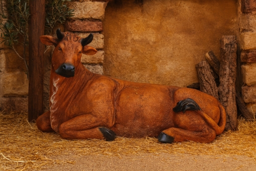 Chomik Корова - Фигурка Для Рождественского Сценического Постановления 71x50,8x113, RAI2037-9 - Home Club