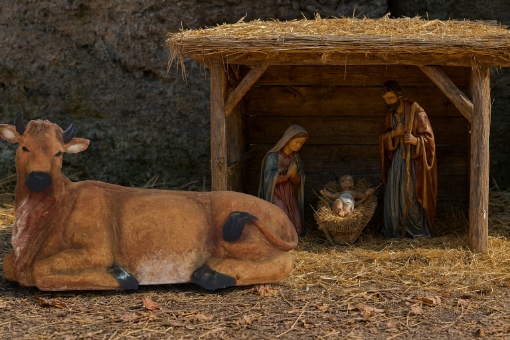 Chomik Фигура Вол 60 x 28 x 34,5 см, RAI2082-9 - Home Club