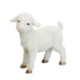 Chomik Фигура Овцы 28 x 9 x 28 см, RAI2082-12 - Home Club