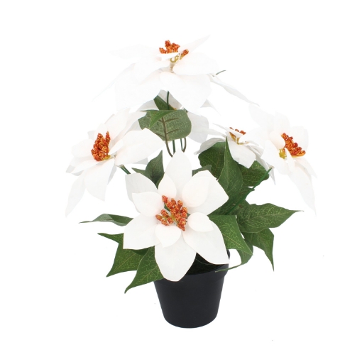 Chomik Искусственный цветок - звезда Вифлеема 35 см в черном горшке, белый, HID3803 - Home Club