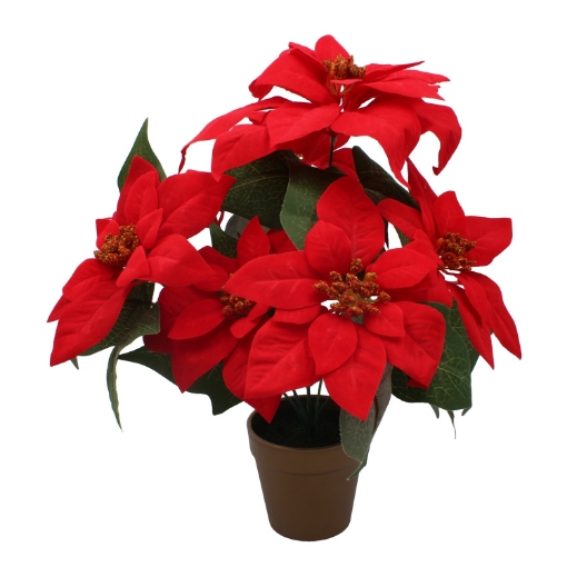 Chomik Штучна Квітка - Бетлегейська Зірка 38 См У Золотій Горщиці Червоного Кольору, HID3810 - Home Club