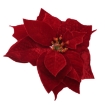 Chomik Искусственный цветок - звезда Вифлеема 25 см на клипсе бордового цвета, HID3834 - Home Club, изображение 5