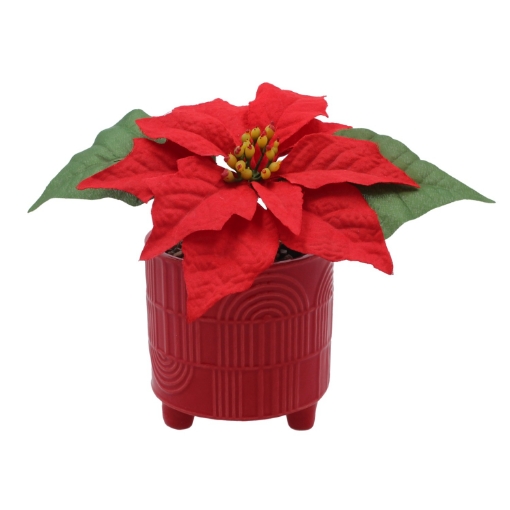 Chomik Штучна Позінція В Керамічному Горщику 9 x 17 См, POI5210 - Home Club