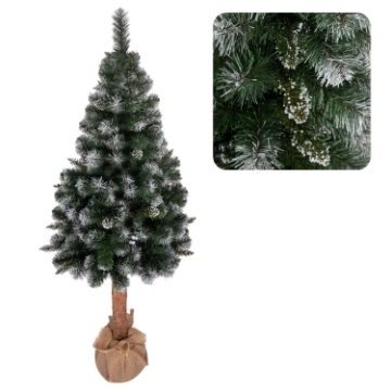 Chomik Балтийская сосна с диамантом на стволе 2,2 м, елка, ROY1217 - Home Club