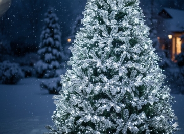 Chomik Світлодіодні Лампи Cluster 700L Холодний Білий, Довжина 3 + 7 М Внутрішні/Зовнішні, LED8189 - Home Club