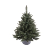 Chomik Класична ялина в горщику 0,8 м Ялинка, ROY7493 - Home Club