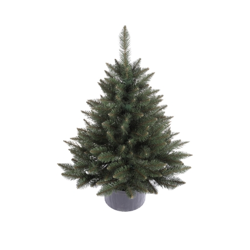 Chomik Класична ялина в горщику 0,8 м Ялинка, ROY7493 - Home Club