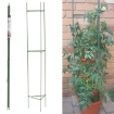 Garden Line Підпорка Для Рослин, Помідорів 11 Мм x 180 См, EVA8204 - Home Club
