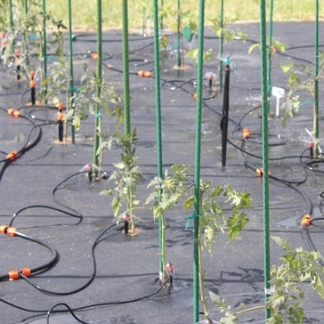 Garden Line Комплект 71El. Для Зрошування Micro 23M, EDA8587 - Home Club