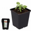Garden Line 5 пластиковых горшков размером 11 x 11 x 12 см, EDA3302 - Home Club