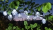 Garden Line Солнечная гирлянда для сада, длина 2 + 1,8 м, Luca 10 Led, холодный белый цвет, SOL3590 - Home Club, изображение 3