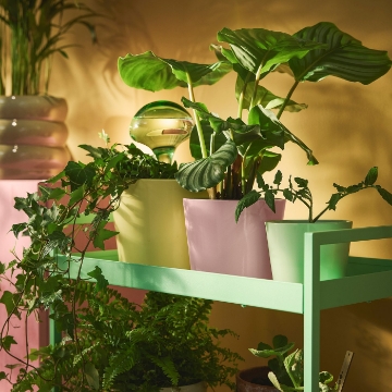 ІКЕА Кашпо SOJABÖNA, 706.119.45 - Home Club