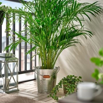 ИКЕА Горшок KORKGRAN, 406.119.80 - Home Club