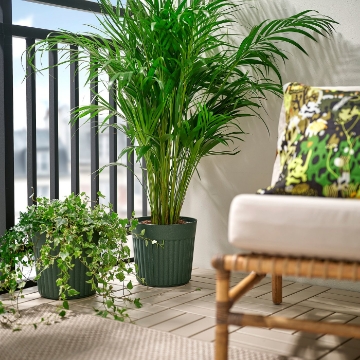 ІКЕА Кашпо FRÄKENVÄXT, 206.108.73 - Home Club