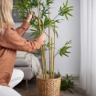 ІКЕА Штучна рослина в горщику FEJKA ФЕЙКА, 406.106.07 - Home Club, зображення 3