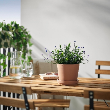 ИКЕА Искусственное растение в горшке FEJKA ФЕЙКА, 806.132.51 - Home Club