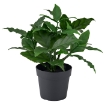 ИКЕА Искусственное растение в горшке FEJKA ФЕЙКА, 606.107.48 - Home Club