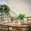 ИКЕА Искусственное растение в горшке FEJKA ФЕЙКА, 006.107.51 - Home Club, изображение 2