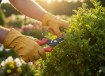 Garden Line Садовый секатор 20 см, WAN8933 - Home Club