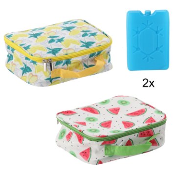 Garden Line Термосумка 24 x 9 x 20 см 4 л Портфель Микс 2 Дизайна С Двумя Холодильными Вставками, IZO9271 - Home Club