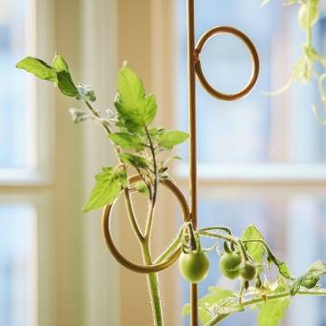 ІКЕА Підпора для рослин DOFTRIPS, 406.123.62 - Home Club