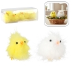 Chomik Кпл. 10 Курчат 18 x 8 x 6,5 См Пухатих Жовто-Білих, SUN7817 - Home Club