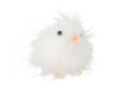 Chomik Кпл. 10 Курчат 18 x 8 x 6,5 См Пухатих Жовто-Білих, SUN7817 - Home Club, зображення 3