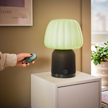 ИКЕА Комплект дистанционного управления BILRESA, 506.041.73 - Home Club