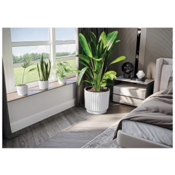 Chomik Горщик Mika Cyli Petit Eco Recycled 260 мм білий, FOM0248 - Home Club