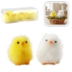 Chomik Кпл. 10 Курчат 18 x 8 x 6,5 См Пухатих Жовто-Білих, SUN7817 - Home Club, зображення 5