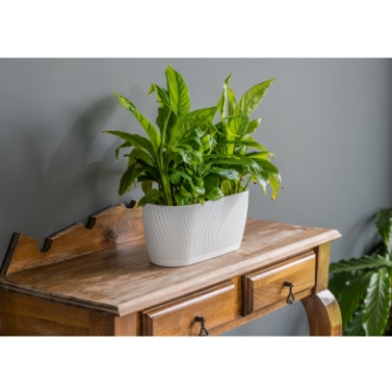 Chomik Коробка Mika 270 мм Eco Recycled з підставкою. Біла, FOM4704 - Home Club