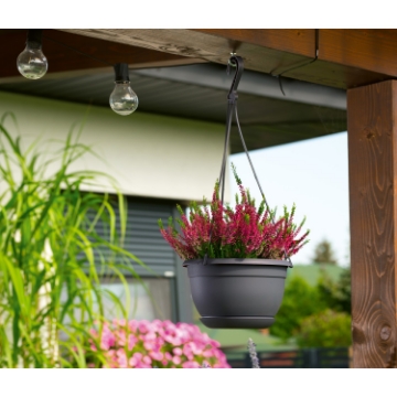 Chomik Квітка Malta Wisząca 270 мм, антрацит, FOM0395 - Home Club