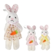 Chomik Пасхальна Прикраса - Підвіска 6 x 11 См Кролик З Морквою, 3 Кольори, SUN9182 - Home Club