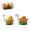 Chomik Кпл. 4 Великодні Прикраси - Курчата В Шкаралупці 9,5 x 7 x 5,5 См, Різні Кольори, SUN9373 - Home Club