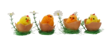 Chomik Кпл. 4 Великодні Прикраси - Курчата В Шкаралупці 9,5 x 7 x 5,5 См, Різні Кольори, SUN9373 - Home Club