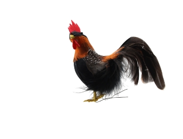 Chomik Набір 3 великодніх прикрас - курочки 8 см, різні кольори, SUN9526 - Home Club