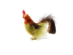 Chomik Набір 3 великодніх прикрас - курочки 8 см, різні кольори, SUN9526 - Home Club, зображення 4