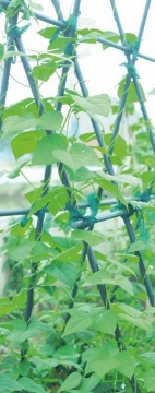 Garden Line Комплект 2 з'єднувачів для жердин 16 мм типу V, EVA8150 - Home Club