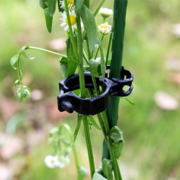 Garden Line Kpl. 10 Кліпсів Для Зв'Язування Рослин, JAW7839 - Home Club