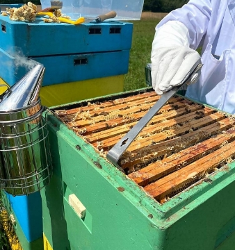 Chomik Нержавеющее Пчеловодческое Челенко 26 См, BEE6600 - Home Club