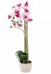 Chomik Искусственный цветок - бело-розовый орхидея 70 см, HID4771 - Home Club