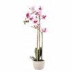Chomik Искусственный цветок - бело-розовый орхидея 70 см, HID4771 - Home Club, изображение 3