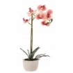 Chomik Штучна Квітка - Орхея Мікс 3 Кольорів 43 См, HID4801 - Home Club, зображення 2
