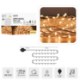 Chomik Светодиодные лампы с мелодией Usb 100L теплый белый, длина 0,3 + 10 м, LED0078 - Home Club