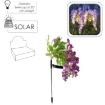 Chomik Солнечная лампа H 70 см Wisteria 40 Led теплый белый, SOL4705 - Home Club, изображение 2