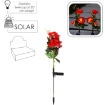 Chomik Солнечная лампа H 70 см Роза 3 светодиода Теплый белый, SOL4712 - Home Club, изображение 2
