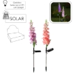 Chomik Солнечная лампа H 70 см Mieczyk 15 светодиодов Теплый белый Микс цветов, SOL4729 - Home Club, изображение 3