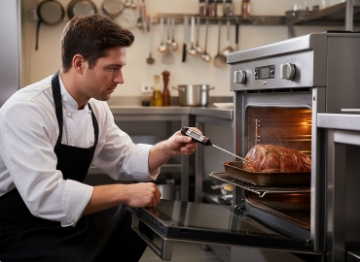 Chomik Цифровой термометр (зонд) 22,5 см, HOT1748 - Home Club