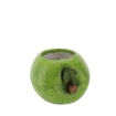 Chomik Садова Горщик - Зелене Яблуко 28 x 25 x 20 См, GOT7294 - Home Club, зображення 3